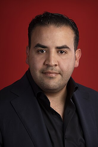 Portret van Mohamed Mohandis